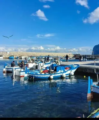 a group of boats docked at a dock at La rosa dei venti in Isola delle Femmine