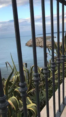 a fence with a plant in front of the water at Casa Vacanze Marco Polo vista mare in Trappeto