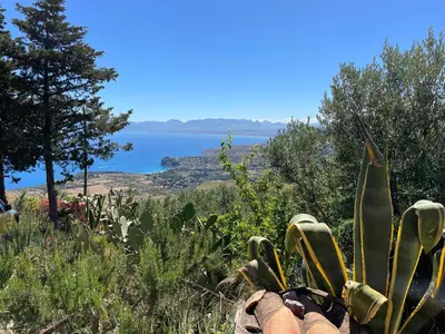 a cactus with a view of a lake at Lally in the Sky moderno monovano panoramico ed accessoriato in Scopello