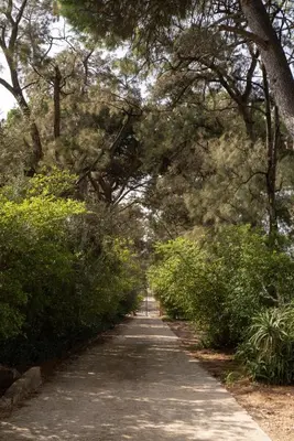 a path in a park with trees and bushes at Casa Panoramica in Terrasini