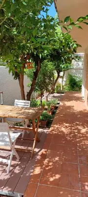 a picnic table and bench on a patio with trees at Giunone Garden in Palermo