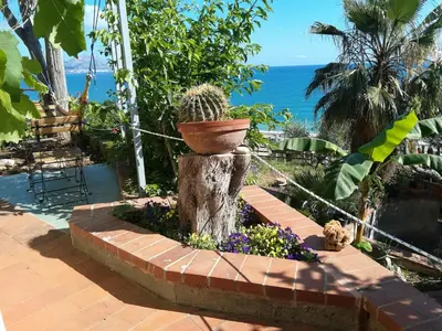 a cactus in a pot sitting on a tree stump at La Pergola sul mare in Mandra Capreria