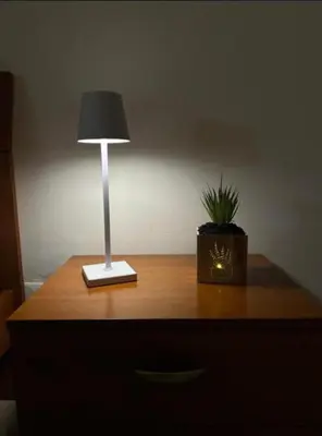 a table with a lamp and a potted plant on it at Al Politeama casa vacanze in Palermo