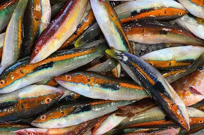 a pile of fish sitting on top of each other at A Casa da Mammi in Palermo