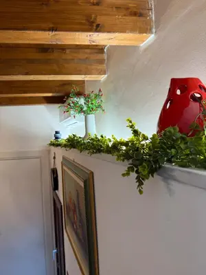 a wall with two plants and a red vase on it at Cortile Cipriani in Palermo