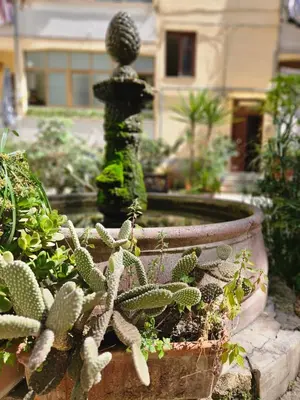 a fountain with cactuses and plants in a garden at Oasi Ballarak in Palermo