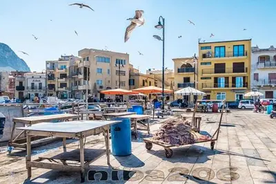 a group of tables and benches with birds flying overhead at Casa U' Rittu Filu in Bagheria
