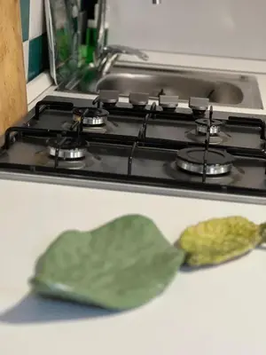 a green leaf sitting on top of a stove at Casa Fico D'India in Cinisi