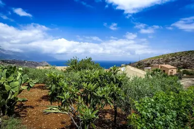 a view of the ocean from a field of trees at Villa del Carrubo in Castellammare del Golfo in Castellammare del Golfo