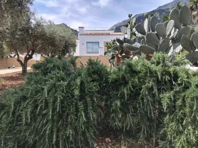a group of plants in front of a house at Villa Mediterranea in Carini