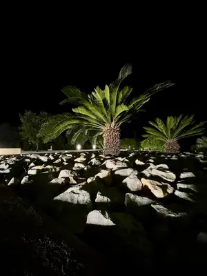 a palm tree in a rock garden at night at Villa Mediterranea in Carini
