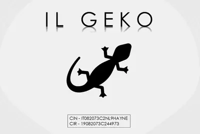 an illustration of a lizard with the words iguana at IL GEKO tra Palermo e Cefalu' nel mare di Sicilia in Trabia