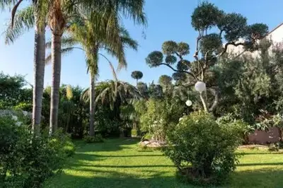 a lush green yard with palm trees and bushes at Holiday Home Green Paradise in Palermo