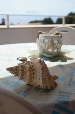 a shell sitting on top of a table with a spoon at Orizzonte d'acqua Palermo in Palermo
