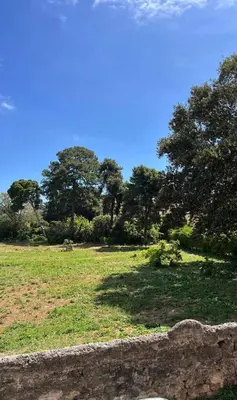 a field of grass with trees and a blue sky at Malfitano View in Palermo