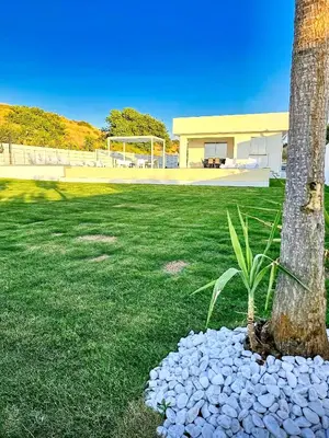 a palm tree in the yard of a house at Villa Stella con piscina privata 500 mt dal mare By Sicily Home Solutions in Trappeto