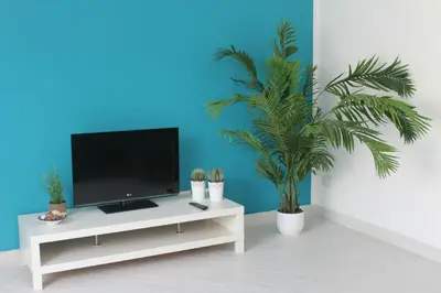a living room with a tv and potted plants at Mondello Suites FLH - Anemone in Palermo