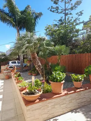 a garden with many potted plants and palm trees at Oasi Mondello in Mondello