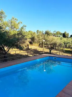 a large blue swimming pool with trees in the background at Villa con Piscina in Ventimiglia di Sicilia