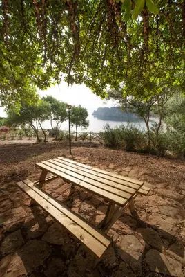 a wooden picnic bench sitting under a tree at Torre Lanza di Guidaloca By DomuSicily in Castellammare del Golfo