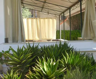 a group of plants in front of a window at Da Sandra in Trabia