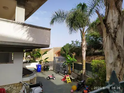 a yard with a palm tree and a toy playground at MuSa Apartament in Balestrate