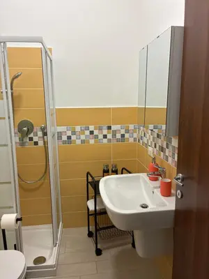 a bathroom with a sink and a shower at D & C Apartment in Palermo