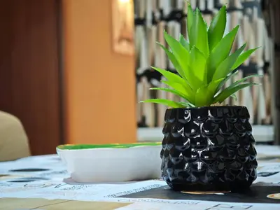 a plant in a black vase on a table at Casa Pitrè in Palermo