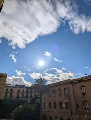 a palm tree in front of a building at A casa della Vero in Palermo