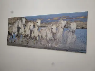 a painting of a herd of white horses running at Corso Butera 489 in Bagheria