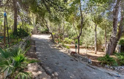 a dirt road in a forest with trees at Verosicily Villa Aspra in Bagheria