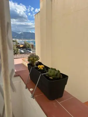 a potted plant sitting on the ledge of a balcony at Blue Sea Apartment in Isola delle Femmine