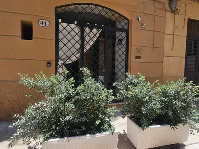 two potted plants sitting in front of a gate at Barbarò Apartments in Palermo