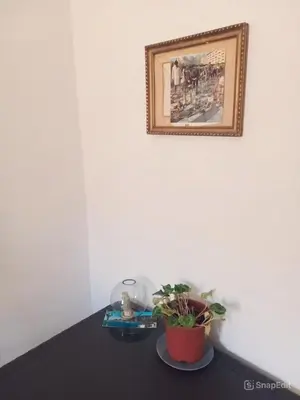 a table with a plant and a picture on the wall at City-Inn II with 2 comfortable single beds in Palermo