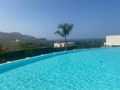 a large swimming pool with a palm tree in the background at Giardino degli Allori, Villa Manfredi with Pool in Castellammare del Golfo