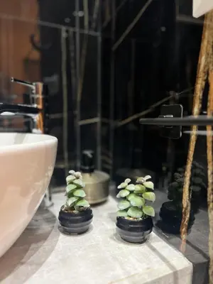 a group of miniature trees on a counter next to a sink at Armonia Serenity Room Politeama in Palermo