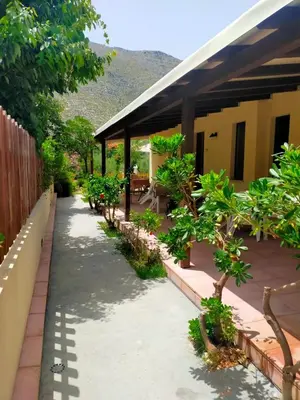 a walkway in front of a house with trees at Aquilone in Castelluzzo