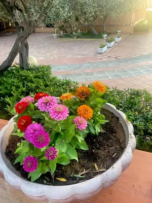 a flower pot with colorful flowers in it at Villa Fiory in Terrasini
