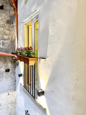 a window with a pot of flowers on a balcony at Bìfara Rooms in Palermo