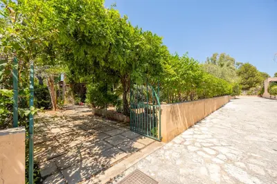 a fence with a hedge of trees next to a sidewalk at Acquamarina 24 in San Vito lo Capo