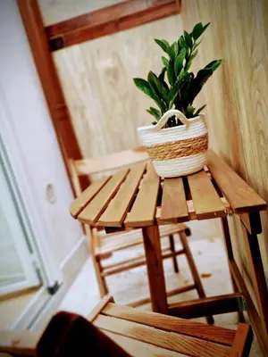 a potted plant sitting on a wooden table at Da poppa a prua in Palermo