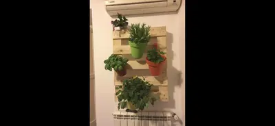 a wall with potted plants on a wall at Casa vucciria in Palermo