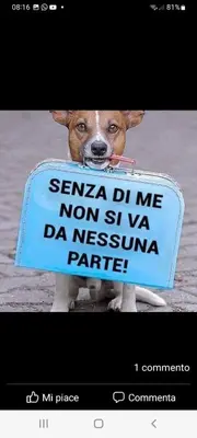 a dog is holding a sign in its mouth at La casa di Tiziana in Castellammare del Golfo