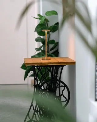 a wooden table with a plant on top of it at Airoldi Home in Palermo