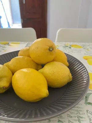 a pile of lemons on a plate on a table at Casa Sole e Limone in Castellammare del Golfo