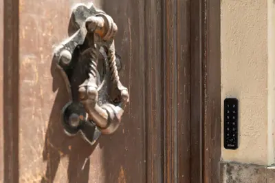 a metal door knocker on a wooden door at Limes in Palermo