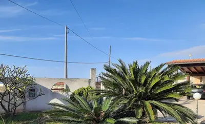 a couple of palm trees in front of a building at West Sicily Beach in Balestrate