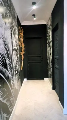 a hallway with a black door and plants on the wall at zaraholiday24 in Palermo