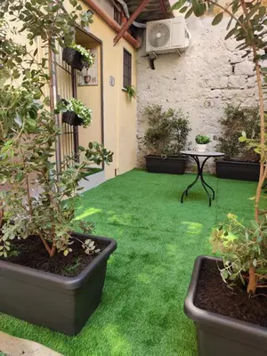 a garden with grass and potted plants and a table at Molly house in Palermo
