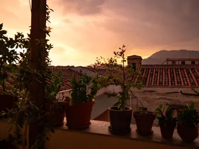 a group of potted plants sitting on a balcony at Locanda Lupo in Palermo